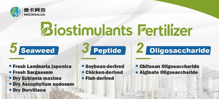 Reliable Biostimulant Ranking: Your Essential Guide to Top Products